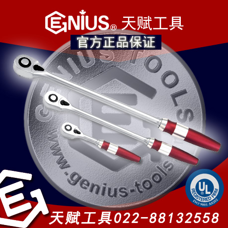 GENIUS伬ְ֣츳100ݿ伬ְ֣츳Сɰ⣬츳282100츳282100L츳383100츳383100L츳484100츳484100L