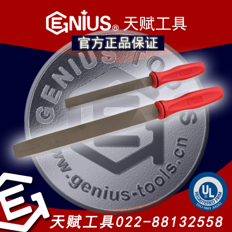 츳гƽﱵ츳ﱵGENIUSгƽﱵGENIUS PR-007M츳500106츳500108