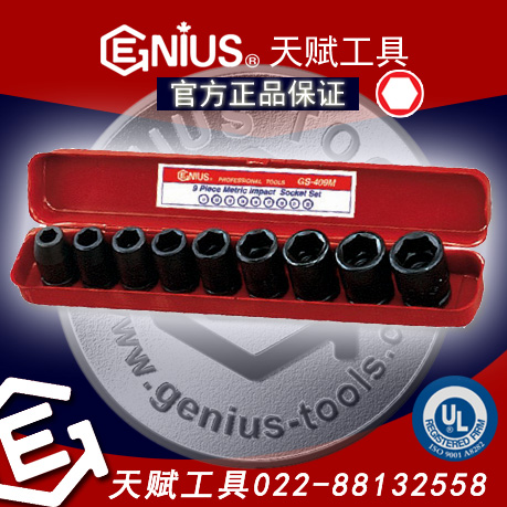 츳FS-409S츳9ӢͲףGENIUS 9ӢͲףGENIUS FS-409S츳Ӣ9׷綯ͲװGENIUSӢ9׷綯Ͳװ