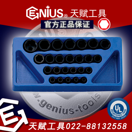 츳IS-425M츳25׹ͲװGENIUS 25׹ͲװGENIUS IS-425M츳߷綯Ͳװ