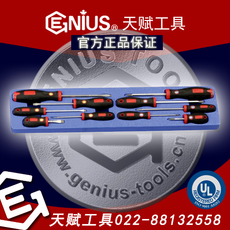 天赋工具,GENIUS TS-5010，GENIUS螺丝批组套装，天赋工具10件螺丝批组套装，天赋工具TS-5010