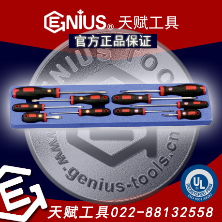 츳,GENIUS TS-5010GENIUS˿װ츳10˿װ츳TS-5010